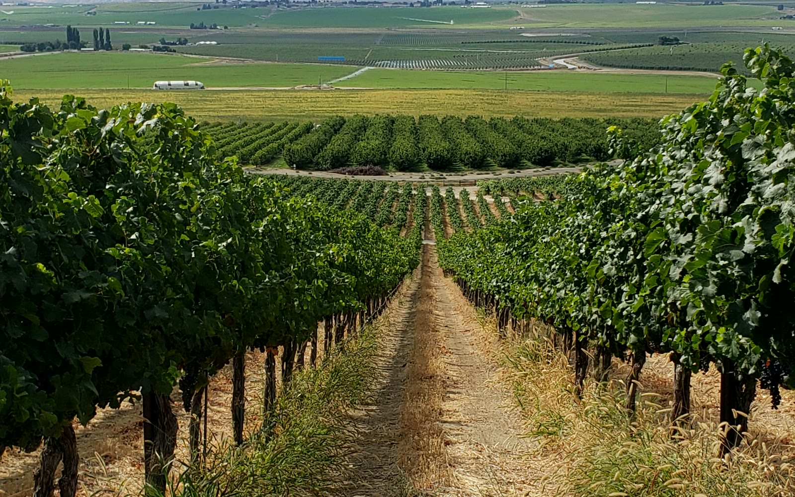 Private tours